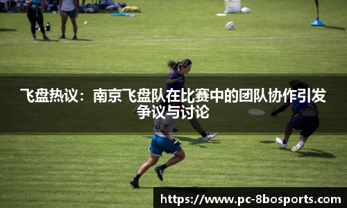 飞盘热议：南京飞盘队在比赛中的团队协作引发争议与讨论
