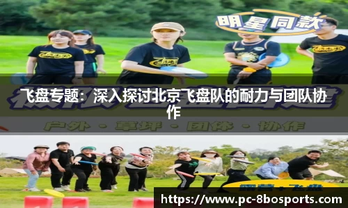 飞盘专题：深入探讨北京飞盘队的耐力与团队协作